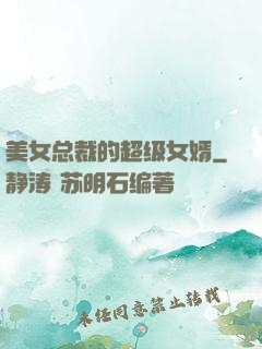 美女总裁的超级女婿